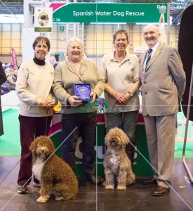 <b class=qtipBold><figcaption>Winner of breeder club stand</figcaption></b><br><em>© Roger Sjolstad / The Kennel Club</em> Winner of breeder club stand