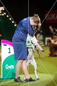 <b class=qtipBold><figcaption>winner Dasha Moiseeva</figcaption></b> winner Dasha Moiseeva
