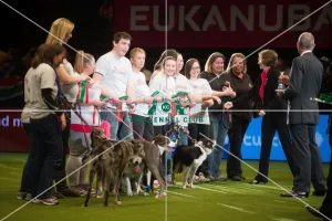 <b class=qtipBold><figcaption>Winner Flyball Finals</figcaption></b> Winner Flyball Finals