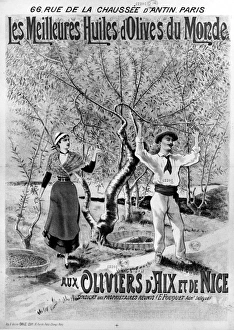 ADVERTISEMENT: OLIVE OIL. The Best Olive Oil in the World. French lithograph poster ADVERTISEMENT: OLIVE OIL. The Best Olive Oil in the World. French lithograph poster