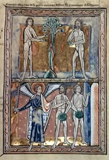 Adam and Eve Collection: ADAM & EVE, c1215. Fall of Man, Expulsion from Paradise: illumination from an English Psalter, c1215