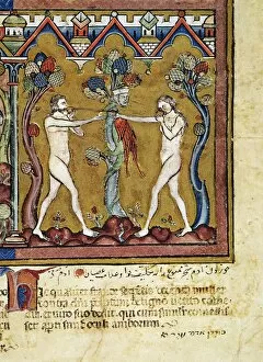 Adam and Eve Collection: ADAM AND EVE. The Fall (Genesis 3: 1-6). French manuscript illumination, c1250