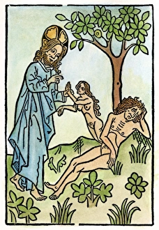 ADAM AND EVE. God creating Eve from the rib of Adam as he sleeps under the Tree of ADAM AND EVE. God creating Eve from the rib of Adam as he sleeps under the Tree of