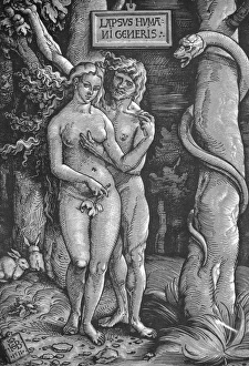 ADAM & EVE. Woodcut by Hans Baldung Grien, 1511 ADAM & EVE. Woodcut by Hans Baldung Grien, 1511