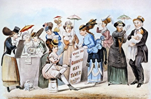 The Age of Brass or the Triumph of Womans Rights. Lithograph cartoon satire, 1869 The Age of Brass or the Triumph of Womans Rights. Lithograph cartoon satire, 1869