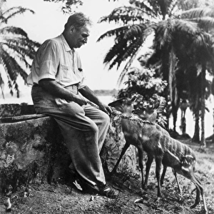 ALBERT SCHWEITZER (1875-1965). French theologian, physician, and musicologist in Africa ALBERT SCHWEITZER (1875-1965). French theologian, physician, and musicologist in Africa