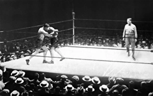 American boxer. Jack Dempsey and Jack Sharkey in the second round of their heavyweight boxing match at Yankee Stadium American boxer. Jack Dempsey and Jack Sharkey in the second round of their heavyweight boxing match at Yankee Stadium