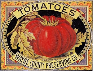 American label featuring tomatoes for the Wayne County Preserving Company American label featuring tomatoes for the Wayne County Preserving Company