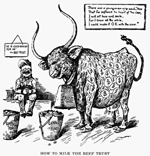 American newspaper cartoon accusing President Theodore Roosevelt of milking the Beef American newspaper cartoon accusing President Theodore Roosevelt of milking the Beef