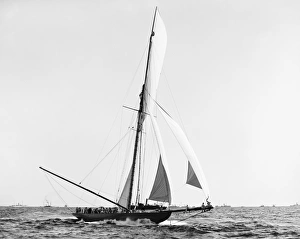 AMERICA'S CUP, 1899. The British challenger, Shamrock I crossing the finish line AMERICA'S CUP, 1899. The British challenger, Shamrock I crossing the finish line