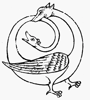AMPHISBAENA. Mythological two-headed serpent, as portrayed in a 12th century bestiary AMPHISBAENA. Mythological two-headed serpent, as portrayed in a 12th century bestiary