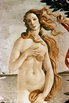 Renaissance Gallery: APHRODITE / VENUS. Detail of Venus. Canvas, by Sandro Botticelli
