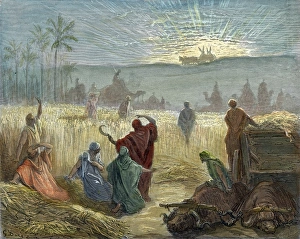 ARK OF THE COVENANT. The return of the Ark of the Covenant to Beth-Shemesh (I Samuel 6:13) ARK OF THE COVENANT. The return of the Ark of the Covenant to Beth-Shemesh (I Samuel 6:13)