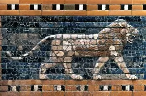 Images Dated 21st September 2010: BABYLON: LION. Glazed brick lion from the processional route at Babylon, 6th century B. C