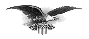 BALD EAGLE. Steel engraving and embossing, 19th century BALD EAGLE. Steel engraving and embossing, 19th century