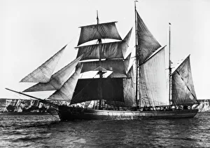 BARQUENTINE, 1871. The English barquentine Waterwitch, built in 1871 BARQUENTINE, 1871. The English barquentine Waterwitch, built in 1871
