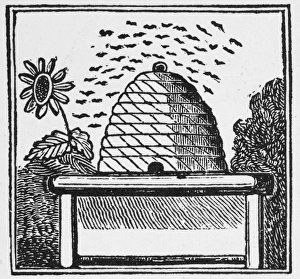 <b class=qtipBold><figcaption>BEEHIVE. Woodcut, 19th century</figcaption></b><br>BEEHIVE. Woodcut, 19th century.<br><em>© none</em> BEEHIVE. Woodcut, 19th century