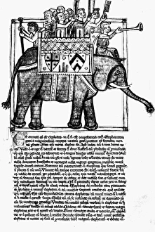 BESTIARY: ELEPHANT. Picture of an elephant, from a Latin treatise on the nature of beasts BESTIARY: ELEPHANT. Picture of an elephant, from a Latin treatise on the nature of beasts