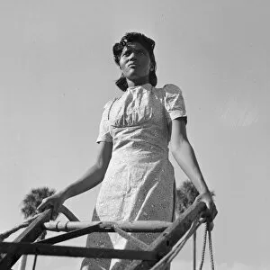 Gordon Parks Gallery: BETHUNE-COOKMAN COLLEGE. A student on the agricultural school farm at Bethune-Cookman