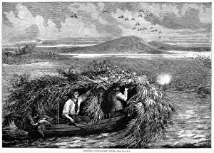 BIRD SHOOTING, 1875. 'Shooting Canvasback Ducks.' Line engraving, American, 1875 BIRD SHOOTING, 1875. 'Shooting Canvasback Ducks.' Line engraving, American, 1875