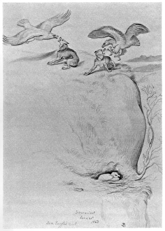 BLACKBURN: BIRDS, 1863. Sea Eagles Nest. Illustration by Jemima Blackburn, 1863 BLACKBURN: BIRDS, 1863. Sea Eagles Nest. Illustration by Jemima Blackburn, 1863