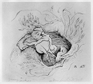 BLACKBURN: BIRDS, 1871. The Cuckoo in the Pipits Nest. Illustration by Jemima Blackburn BLACKBURN: BIRDS, 1871. The Cuckoo in the Pipits Nest. Illustration by Jemima Blackburn