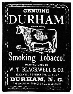 Tobacco Gallery: BULL DURHAM TOBACCO, 1864. Trademark symbol for Bull Durham tobacco, 1864