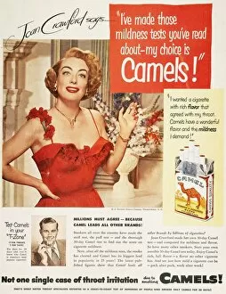 1951 Collection: CAMEL CIGARETTE AD, 1951. Actress Joan Crawford endorsing Camel cigarettes