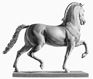 CANOVA: HORSE. Model of a colossal horse. Steel engraving, 19th century CANOVA: HORSE. Model of a colossal horse. Steel engraving, 19th century