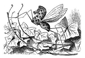 CARROLL: LOOKING GLASS. The Rocking-horse-fly, one of the glass insects discovered by CARROLL: LOOKING GLASS. The Rocking-horse-fly, one of the glass insects discovered by