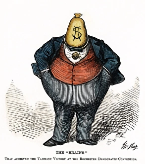 CARTOON: TWEED'S RING, 1871. The Brains. Cartoon of William Marcy Boss Tweed CARTOON: TWEED'S RING, 1871. The Brains. Cartoon of William Marcy Boss Tweed