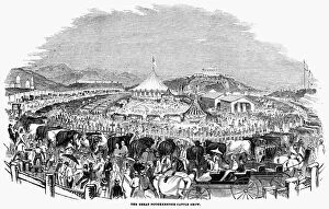 CATTLE SHOW, 1844. The Great Poughkeepsie Cattle Show. Engraving, 1844