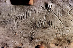 Cave Painting Prints: CAVE ART: HORSE Print, Engraved Horse Head