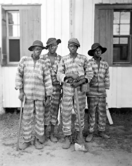CHAIN GANG, c1905. A group of convicts on the chain gang, somewhere in the American South CHAIN GANG, c1905. A group of convicts on the chain gang, somewhere in the American South