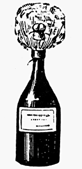 <b class=qtipBold><figcaption>Champagne Bottle</figcaption></b><br>CHAMPAGNE BOTTLE.<br><em>© none</em> Champagne Bottle