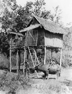 CHANG, 1927. Still from the documentary film Chang: A Drama of the Wilderness CHANG, 1927. Still from the documentary film Chang: A Drama of the Wilderness