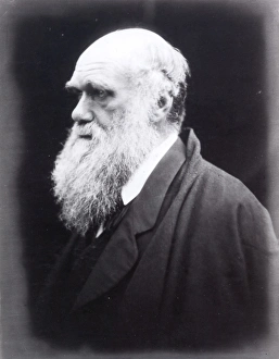 CHARLES DARWIN (1809-1882). English naturalist CHARLES DARWIN (1809-1882). English naturalist