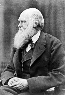 Images Dated 27th December 2006: CHARLES ROBERT DARWIN (1809-1882). English naturalist