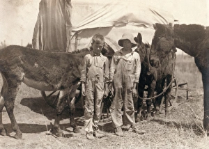 CHILD LABOR, 1917. A pair of truants, tending their father's mules during school hours CHILD LABOR, 1917. A pair of truants, tending their father's mules during school hours