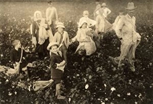CHILD LABOR: COTTON, 1913. Family of cotton pickers near Waxahachie, Texas