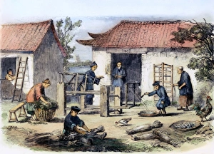 CHINA: SILK INDUSTRY, 1857. Silk culture in China. Wood engraving, English, 1857 CHINA: SILK INDUSTRY, 1857. Silk culture in China. Wood engraving, English, 1857