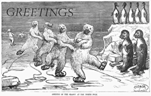 CHRISTMAS: POLAR BEARS. Opening of the season at the North Pole CHRISTMAS: POLAR BEARS. Opening of the season at the North Pole