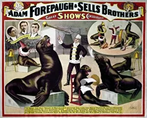 Circus Collection: CIRCUS POSTER, c1898. American poster, c1898, for Forepaugh & Sells Brothers Circus