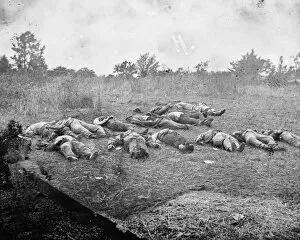 CIVIL WAR: GETTYSBURG, 1863. Bodies of Confederate soldiers killed at the Battle of Gettysburg