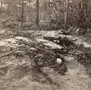 CIVIL WAR: UNBURIED DEAD. View of skeletal remains and uniforms several months