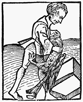 COCK STONE, 1491. Extracting an alectorian, or cock stone (believed to quench thirst COCK STONE, 1491. Extracting an alectorian, or cock stone (believed to quench thirst