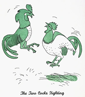 The Two Cocks Fighting. Illustration by Christopher Sanders to an edition of Aesops Fables The Two Cocks Fighting. Illustration by Christopher Sanders to an edition of Aesops Fables