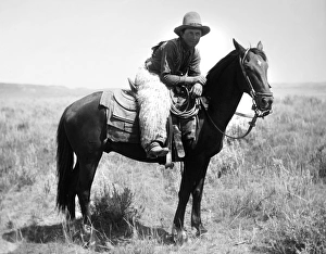Wool Gallery: A cowboy, Honeycut, on the horse White Star on the plains of Montana
