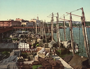 CUBA: HAVANA DOCKS, 1904. Muelle San Francisco, Havana, Cuba. Postcard, 1904 CUBA: HAVANA DOCKS, 1904. Muelle San Francisco, Havana, Cuba. Postcard, 1904