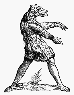 DOG-HEADED MAN, 1642. The Dog-headed man of India DOG-HEADED MAN, 1642. The Dog-headed man of India